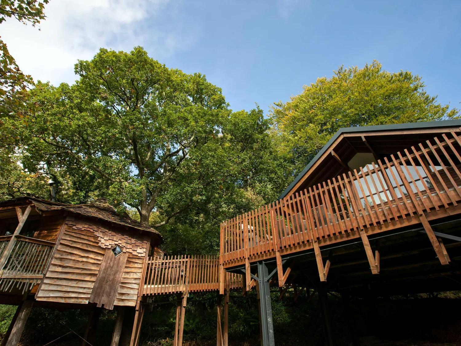 Deerpark Cabins, Cornwall - Forest Holidays Лискард Екстериор снимка