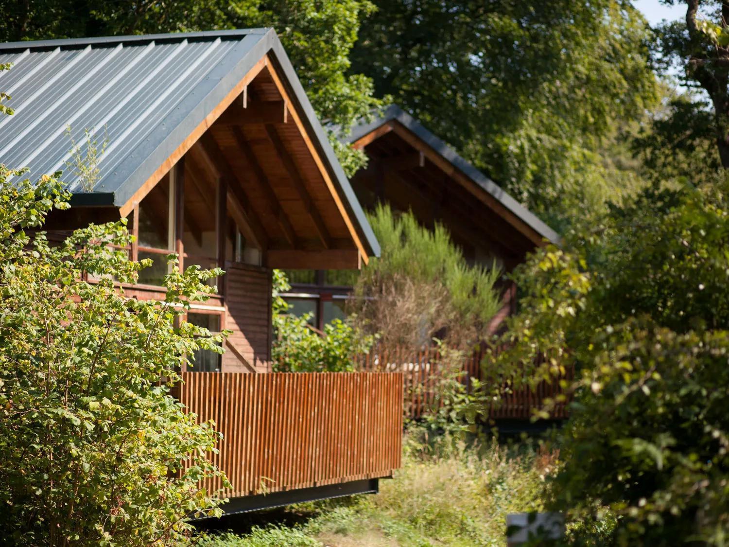 Deerpark Cabins, Cornwall - Forest Holidays Лискард Екстериор снимка