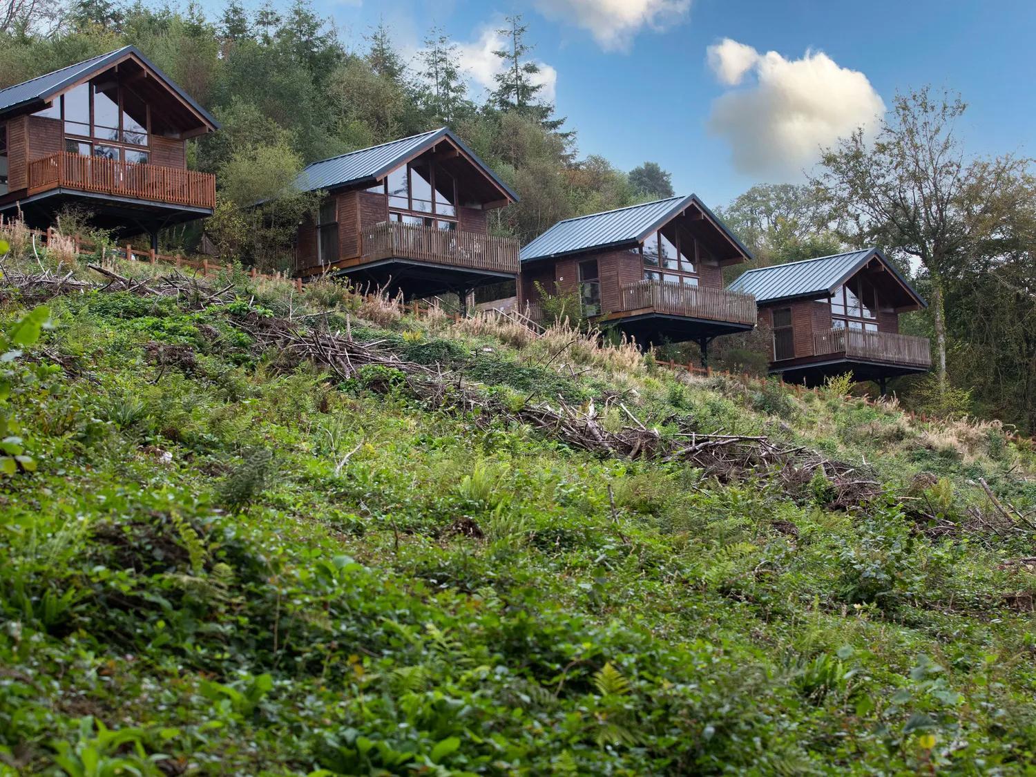 Deerpark Cabins, Cornwall - Forest Holidays Лискард Екстериор снимка